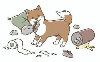 迷惑って・・・アイくぅーかんのスケジュール