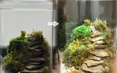 ここにいるよ・・・アイくぅーかんのスケジュール