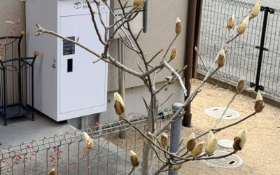 マイペースでいいよ・・・アイくぅーかんのスケジュール